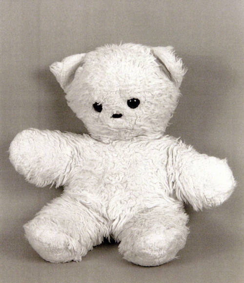 Favorite Objects: Bear