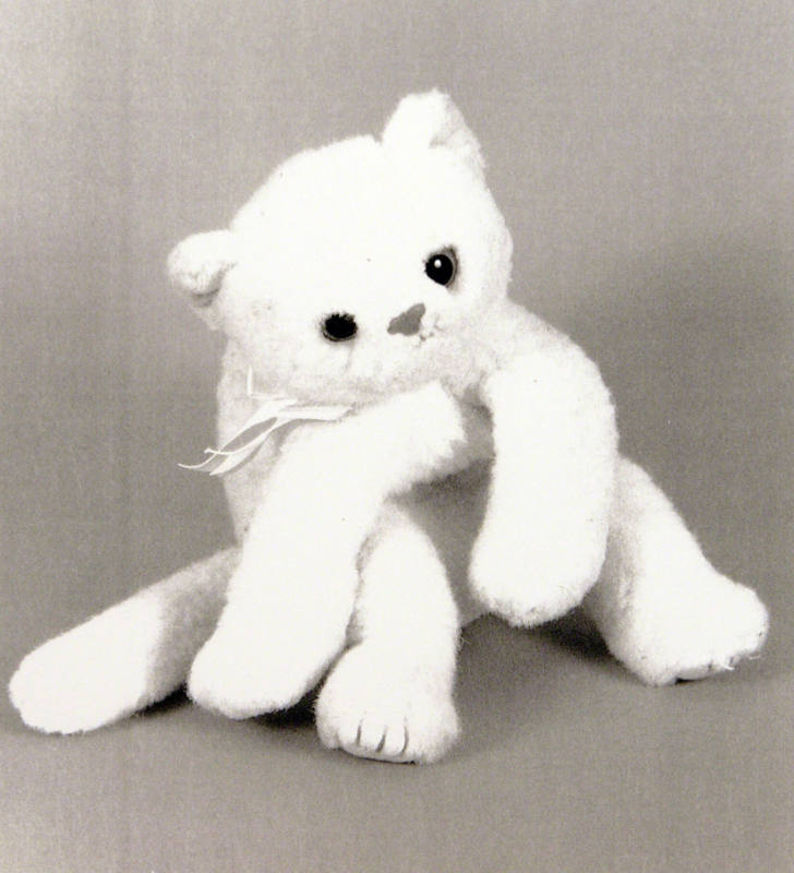 Favorite Objects: Cat
