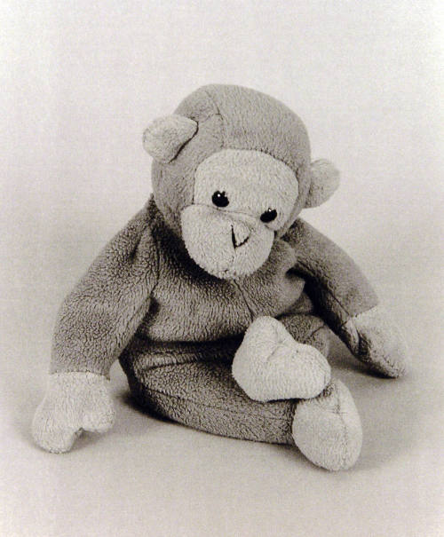 Favorite Objects: Monkey