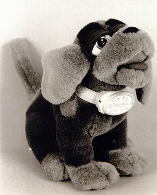 Favorite Objects: Dog