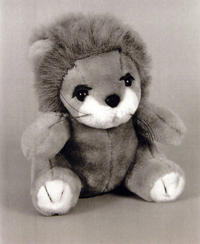 Favorite Objects: Lion