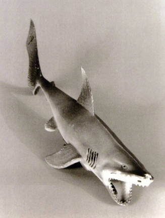 Favorite Objects: Shark