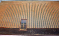 Fabric Back Drop (recto) - detail