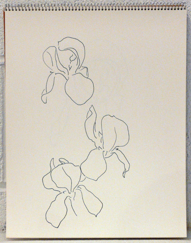 Sample Drawing