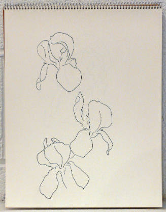 Sample Drawing