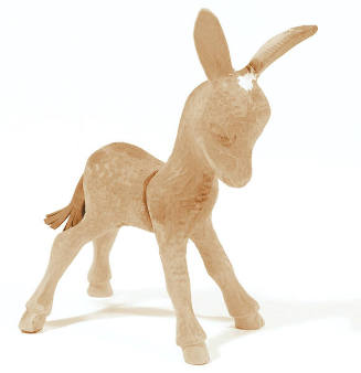 Donkey foal