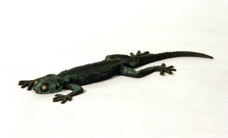 Lizard