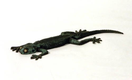 Lizard