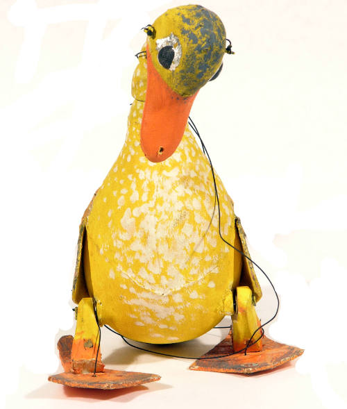 Duck