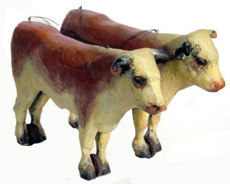 Team of Oxen