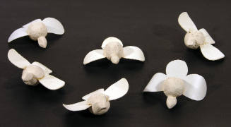 Dove-like flowers