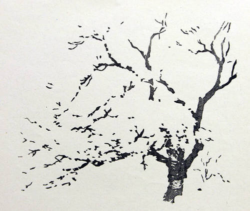 Spring Blossoms  (Progressive Proof - Black Block)