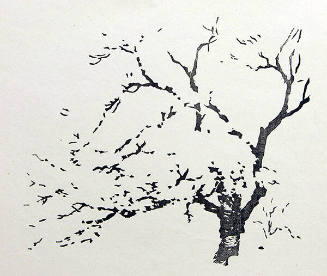 Spring Blossoms  (Progressive Proof - Black Block)