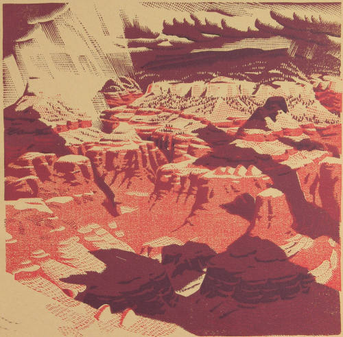 What Can Happen When Things Go Wrong (Grand Canyon)