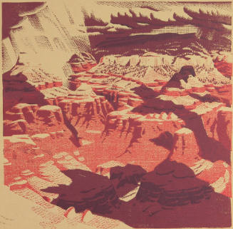 What Can Happen When Things Go Wrong (Grand Canyon)