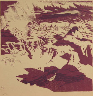 What Can Happen When Things Go Wrong (Grand Canyon)