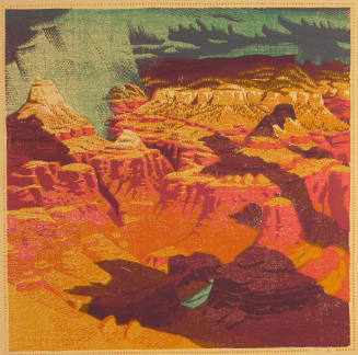 What Can Happen When Things Go Wrong (Grand Canyon)
