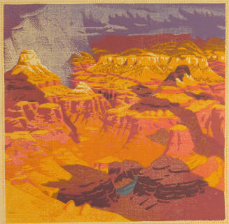 What Can Happen When Things Go Wrong (Grand Canyon)