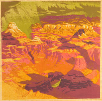 What Can Happen When Things Go Wrong (Grand Canyon)