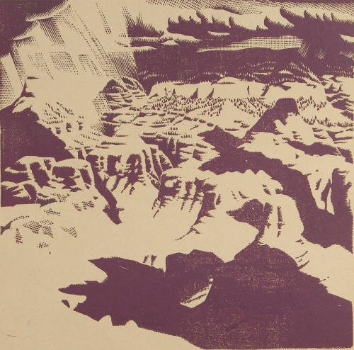 What Can Happen When Things Go Wrong (Grand Canyon)