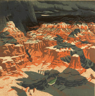 What Can Happen When Things Go Wrong (Grand Canyon)