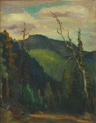 New Mexico Mountain Scene