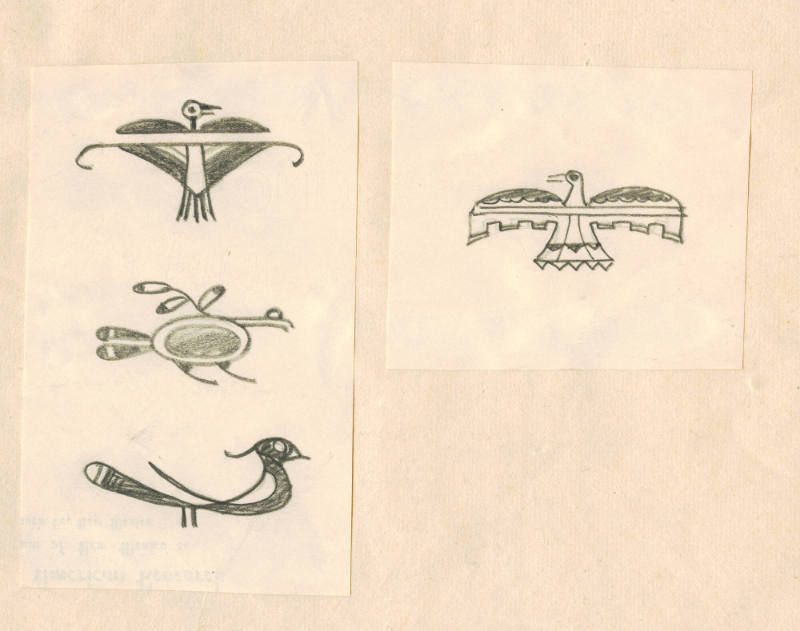 Bird wth White Tail Feather Vignette (sketch from Indian Pottery book)