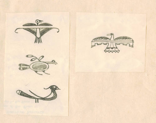 Bird wth White Tail Feather Vignette (sketch from Indian Pottery book)