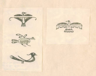 Bird wth White Tail Feather Vignette (sketch from Indian Pottery book)