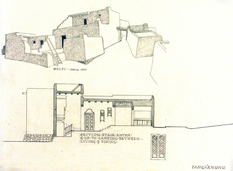 Tanga'kwunu:  Rainbow