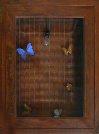Tasha Ostrander, Detail from 'Quinter's Thought Trap', 1997, steel, butterflies, light bulb and…