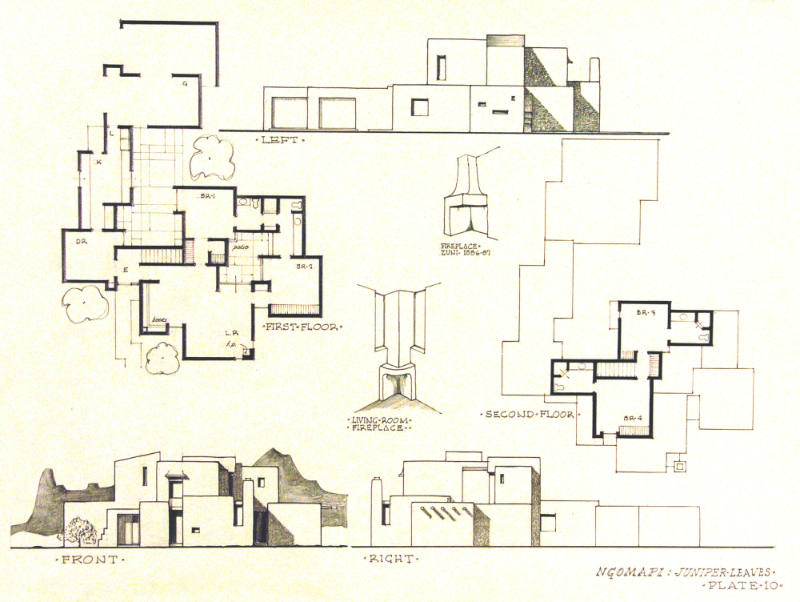 Ngomapi:  Juniper Leaves, Plate 10