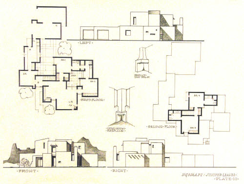 Ngomapi:  Juniper Leaves, Plate 10
