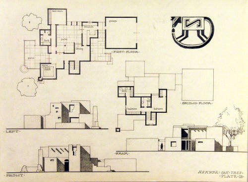Hekwpa:  Oak Tree, Plate 13