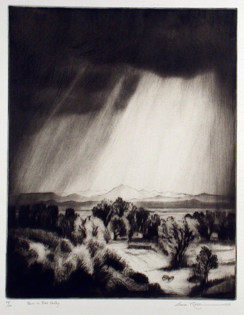 Rain in Taos Valley