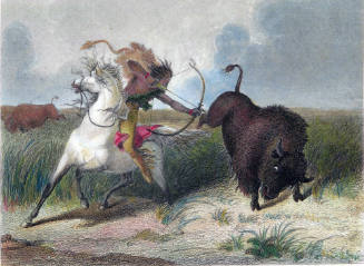 Hunting Buffalo