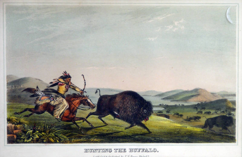 Hunting the Buffalo (after a painting by Peter Rindisbacher)