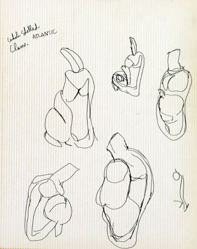Whole Shelled Clams, Atlantic