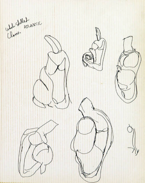 Whole Shelled Clams, Atlantic