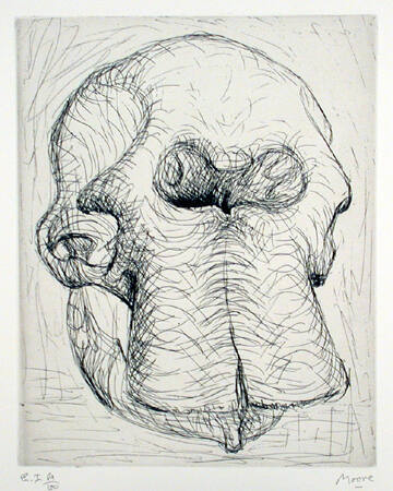 Plate I:  An Elephant Skull was Recently Added to Moore's Maquette Studio
