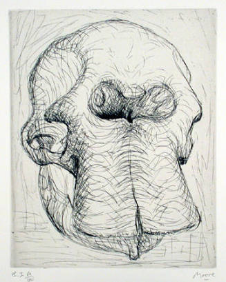 Plate I:  An Elephant Skull was Recently Added to Moore's Maquette Studio