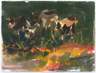 Cattle