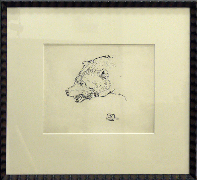 Head of a Bear