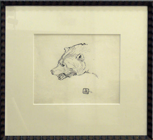 Head of a Bear
