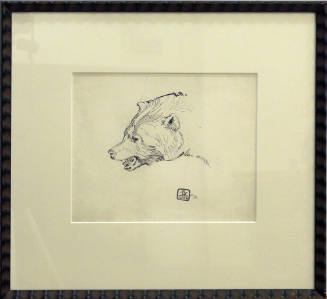 Head of a Bear
