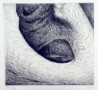 Plate IV: One Finds Forms of Great Strength Contrasting with Others of Amazing Delicacy