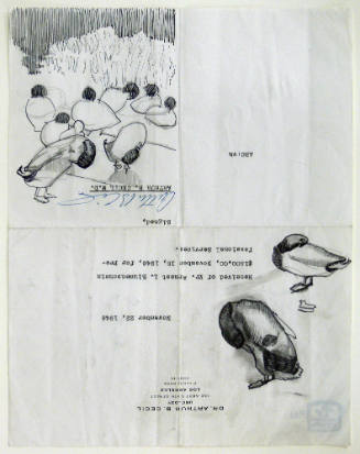 Mallard Drake