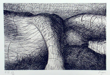 Plate VI: Vertical and Horizontal Forms