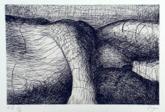Plate VI: Vertical and Horizontal Forms