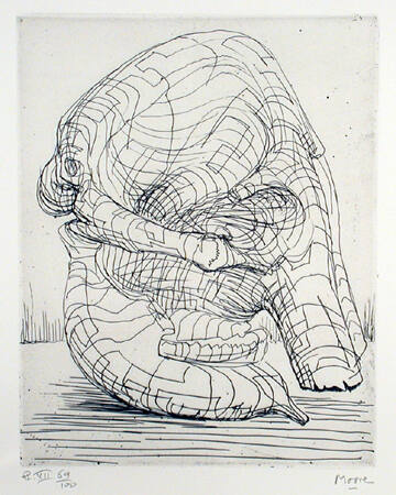 Plate VII: Skull Side View-Eye Sockets and Tusk Holes